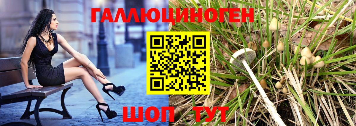 Галлюциногенные грибы прущие грибы  Псилоцибиновые грибы Psilocybine cubensis  Вход с VPN  Феодосия 