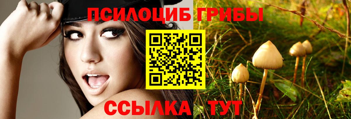 ГАШ  Феодосия  NBOMe  КОКАИН  МЕФ   Канабис  Вход с VPN 